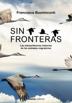 ebook: Sin fronteras