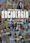 ebook: Conceptos esenciales de Sociología