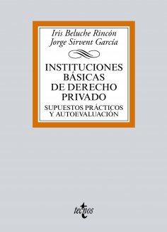 ebook: Instituciones básicas de Derecho Privado