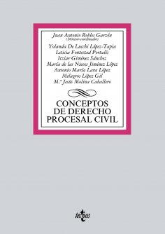 ebook: Conceptos de Derecho procesal civil