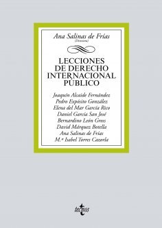 ebook: Lecciones de Derecho Internacional Público