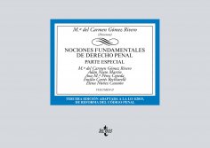 ebook: Nociones fundamentales de Derecho Penal