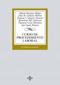 ebook: Curso de procedimiento laboral