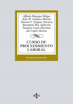 ebook: Curso de procedimiento laboral
