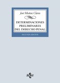 ebook: Determinaciones preliminares del Derecho penal