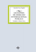 ebook: Lecciones de Derecho Internacional Público
