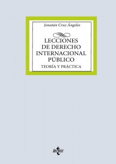 ebook: Lecciones de Derecho Internacional Público