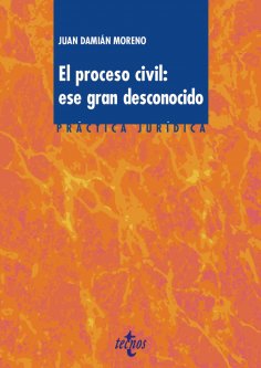 eBook: El proceso civil. Ese gran desconocido