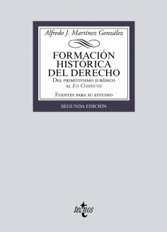 ebook: Formación histórica del Derecho