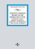 ebook: Instituciones básicas de derecho civil