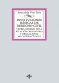 ebook: Instituciones básicas de derecho civil