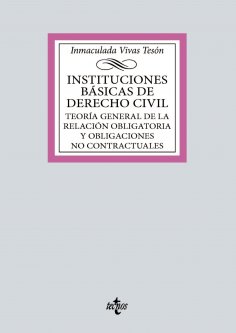 eBook: Instituciones básicas de derecho civil