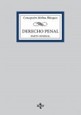 ebook: Derecho Penal