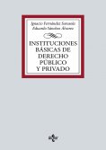 ebook: Instituciones básicas de Derecho público y privado