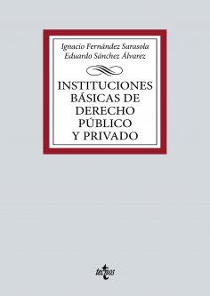 ebook: Instituciones básicas de Derecho público y privado