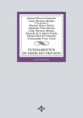 ebook: Fundamentos de Derecho Privado