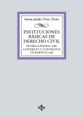ebook: Instituciones básicas de derecho civil