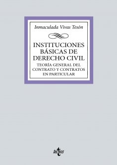 eBook: Instituciones básicas de derecho civil
