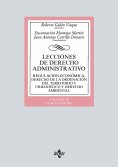 ebook: Lecciones de Derecho Administrativo