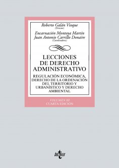ebook: Lecciones de Derecho Administrativo