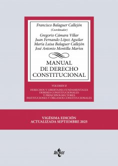 ebook: Manual de Derecho Constitucional