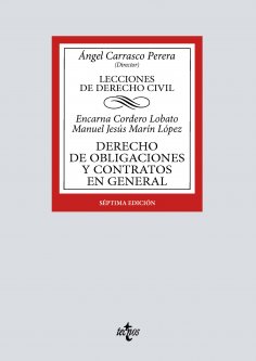 ebook: Derecho de obligaciones y contratos en general