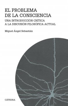 ebook: El problema de la consciencia