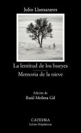 eBook: La lentitud de los bueyes; Memoria de la nieve