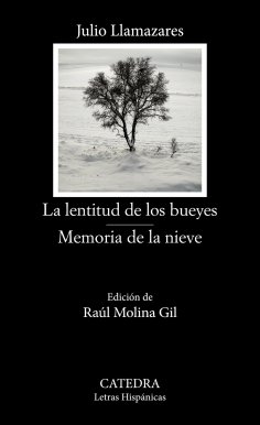 eBook: La lentitud de los bueyes; Memoria de la nieve