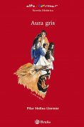 eBook: Aura gris