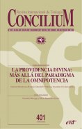 ebook: Divina providencia: más allá del paradigma de la omnipotencia