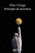 ebook: Principio de incerteza