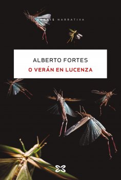 ebook: O verán en Lucenza