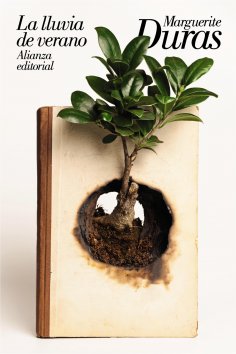 eBook: La lluvia de verano