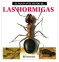 eBook: Las Hormigas