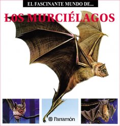 eBook: Los Murciélagos
