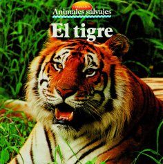 eBook: El tigre