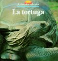 eBook: La tortuga