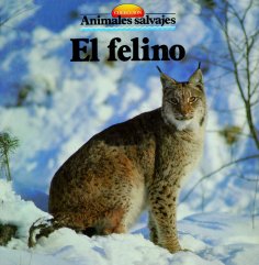 eBook: El felino