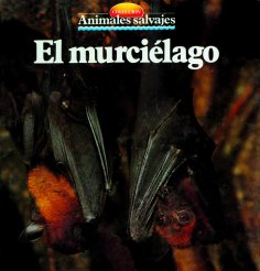 eBook: El murciélago