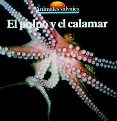 eBook: El pulpo y el calamar