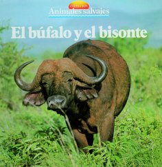 eBook: El búfalo y el bisonte