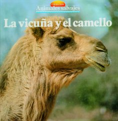 eBook: La vicuña y el camello