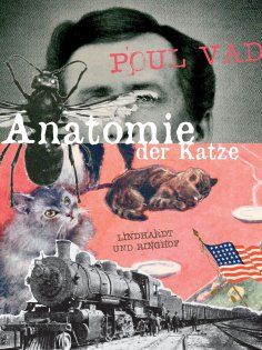 eBook: Anatomie der Katze