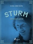 eBook: Sturm über Bluewater