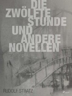 ebook: Die zwölfte Stunde und andere Novellen