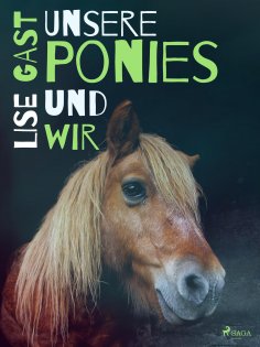 eBook: Unsere Ponies und wir