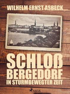 eBook: Schloss Bergedorf in sturmbewegter Zeit