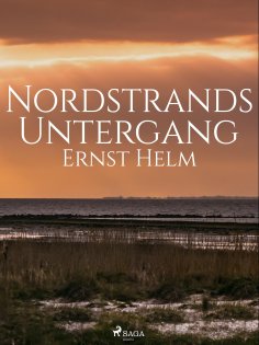 eBook: Nordstrands Untergang