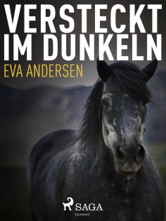 eBook: Versteckt im Dunkeln